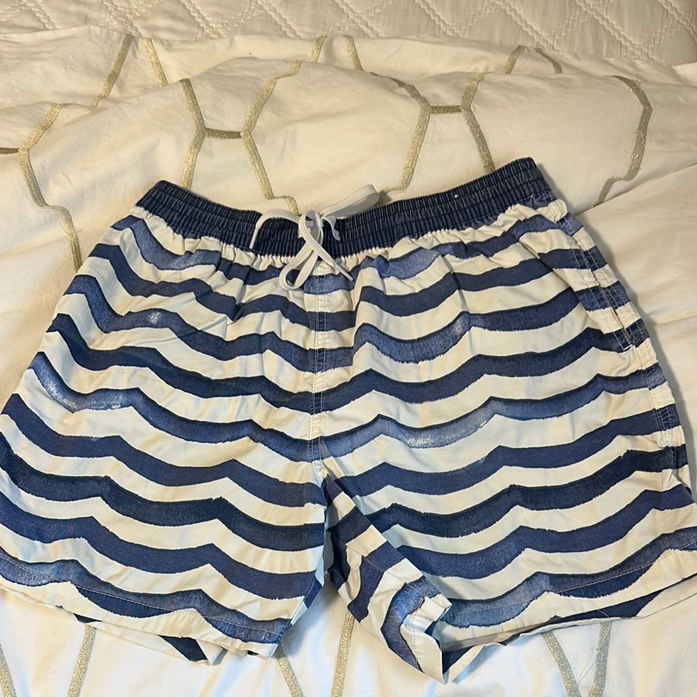 Blue and White Striped Shorts